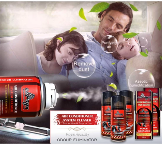 Ebrayn Limpiador de Aire Acondicionado y Ambientador Bomba de Aire Acondicionado 150 ml